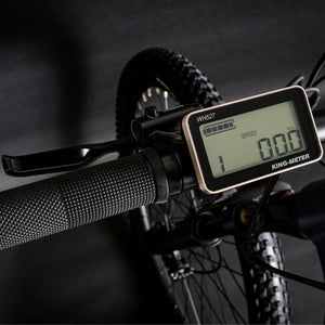 Claud Butler Wrath 1.0 Cues Electric Mountain Bike