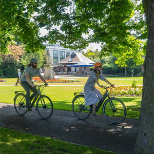 Dawes Scenic Low Step Electric Hybrid E-Bike
