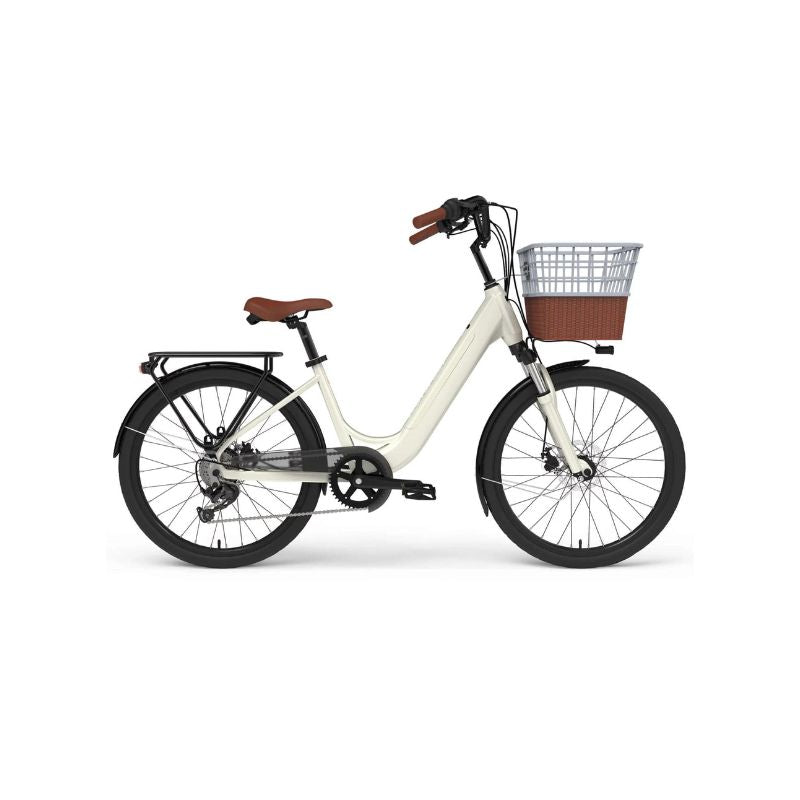 DINLING 24 ELECTRIC BIKE