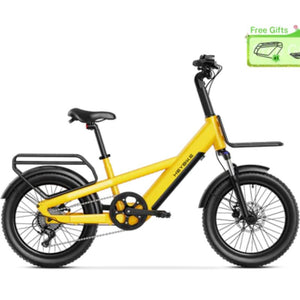 Heybike EC Compact Sport