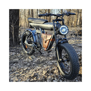 Freego Electric Bike